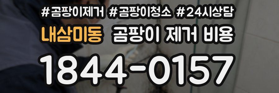 내삼미동 곰팡이 제거 비용