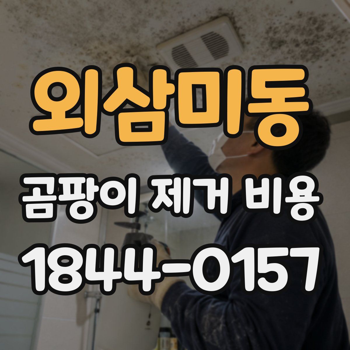외삼미동 곰팡이 제거 비용