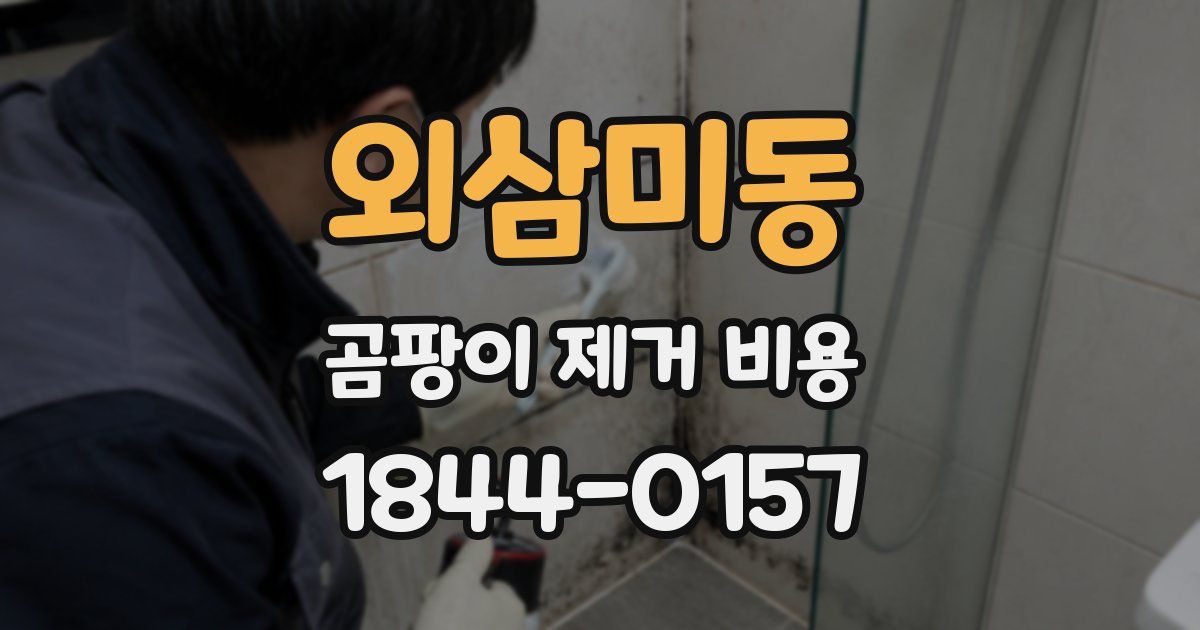 외삼미동 곰팡이 제거 비용