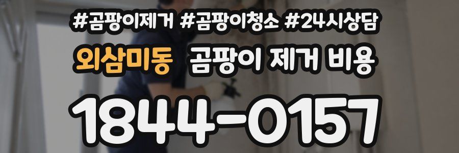 외삼미동 곰팡이 제거 비용