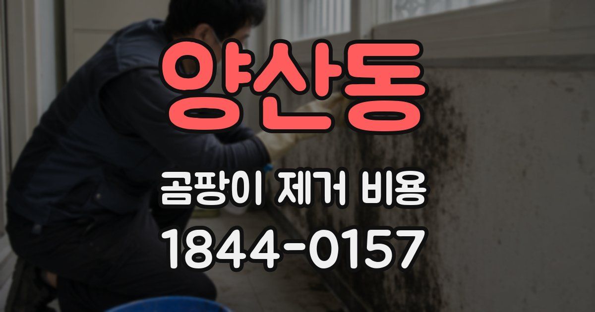 양산동 곰팡이 제거 비용