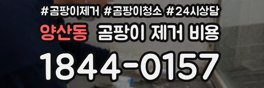 양산동 곰팡이 제거 비용