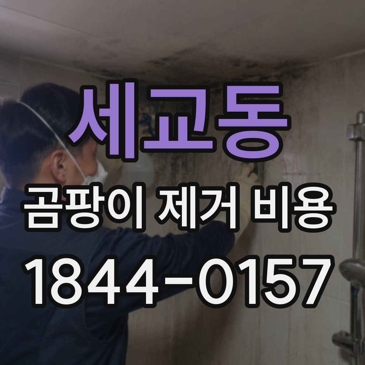 세교동 곰팡이 제거 비용