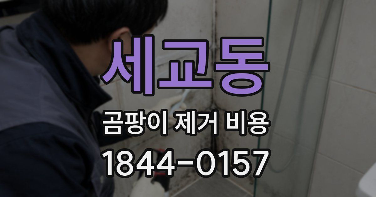 세교동 곰팡이 제거 비용