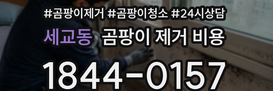 세교동 곰팡이 제거 비용