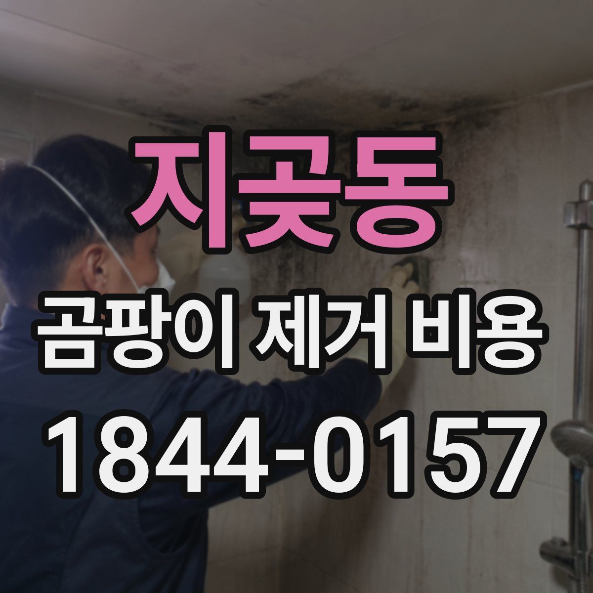 지곶동 곰팡이 제거 비용