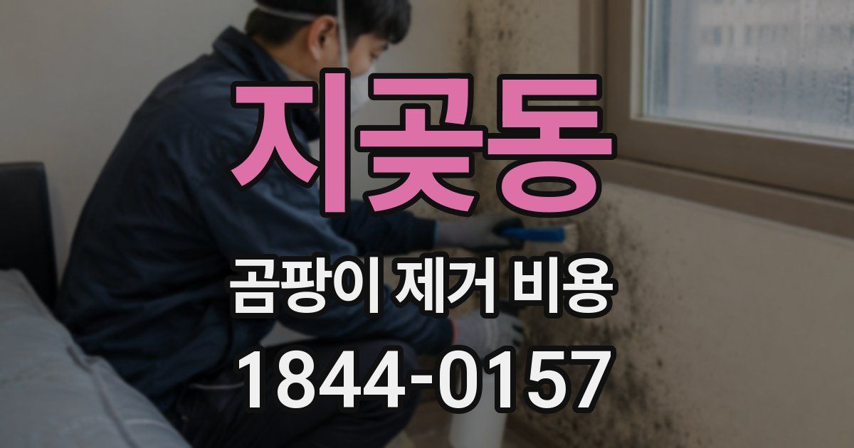 지곶동 곰팡이 제거 비용