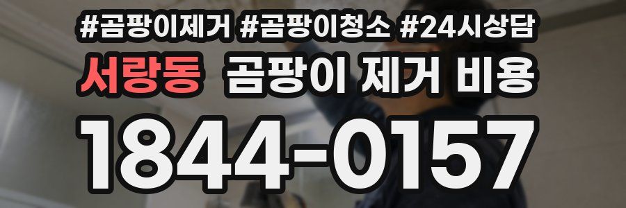 서랑동 곰팡이 제거 비용