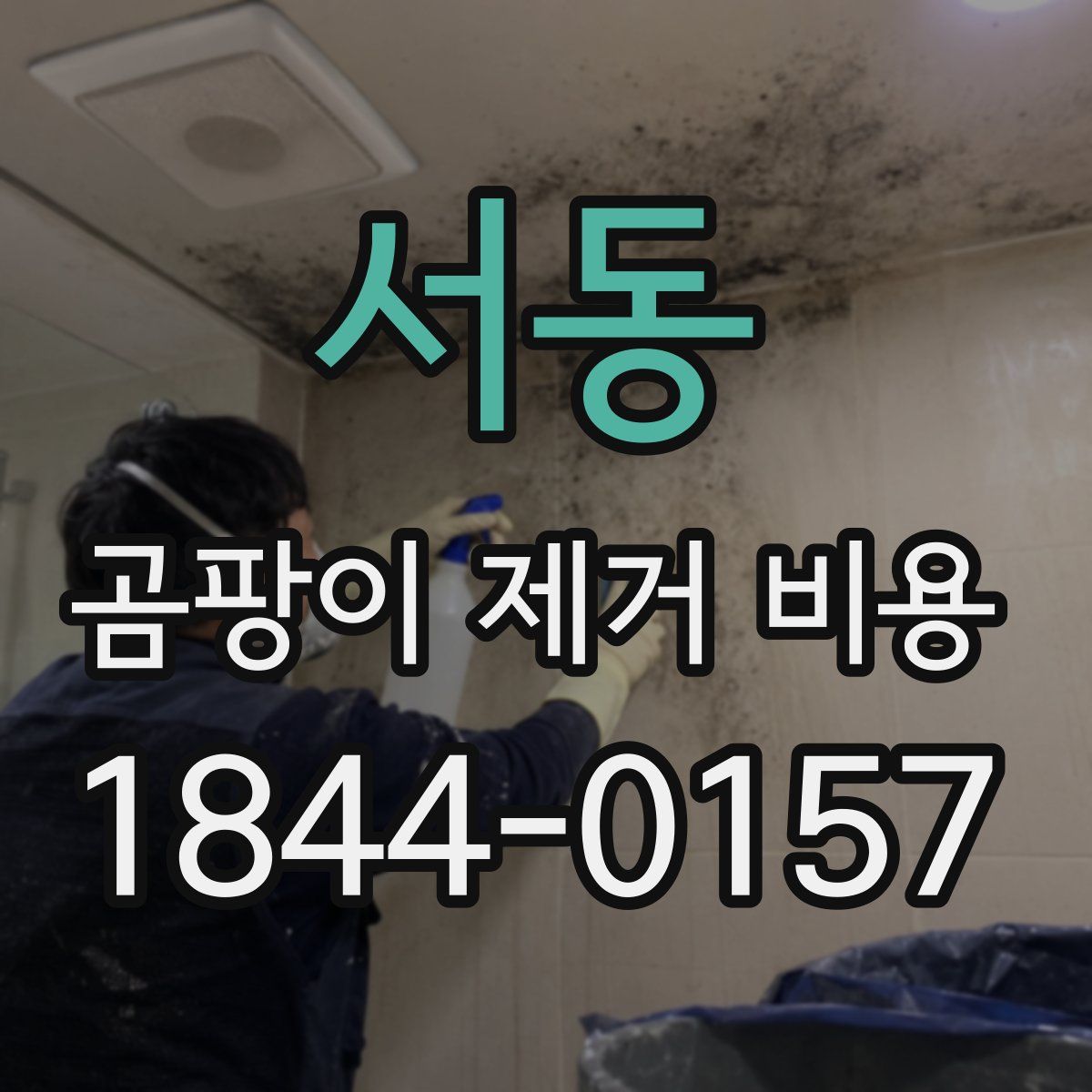 서동 곰팡이 제거 비용