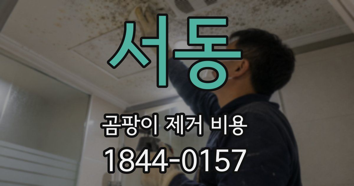 서동 곰팡이 제거 비용