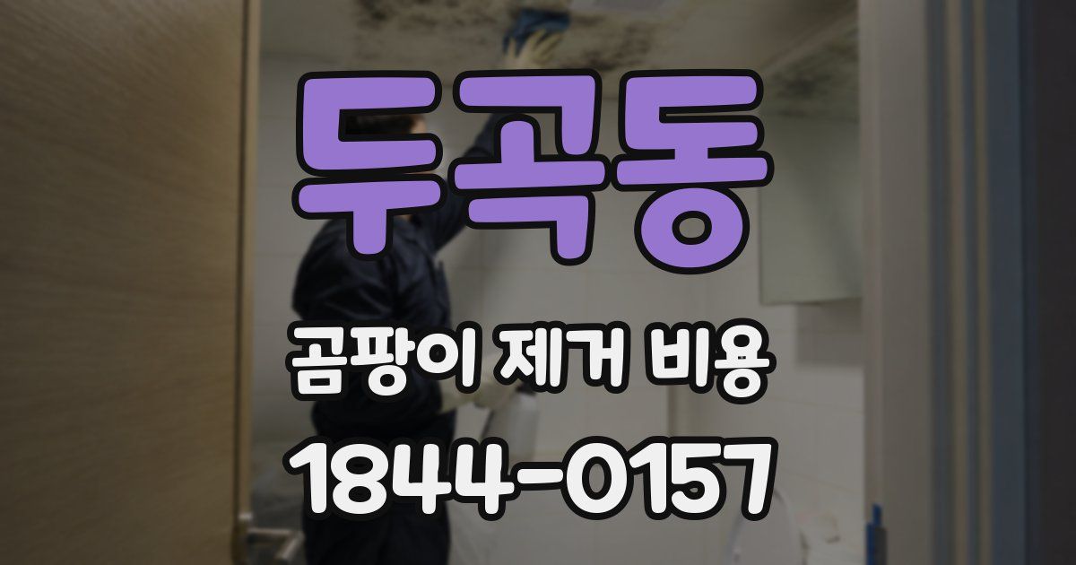 두곡동 곰팡이 제거 비용