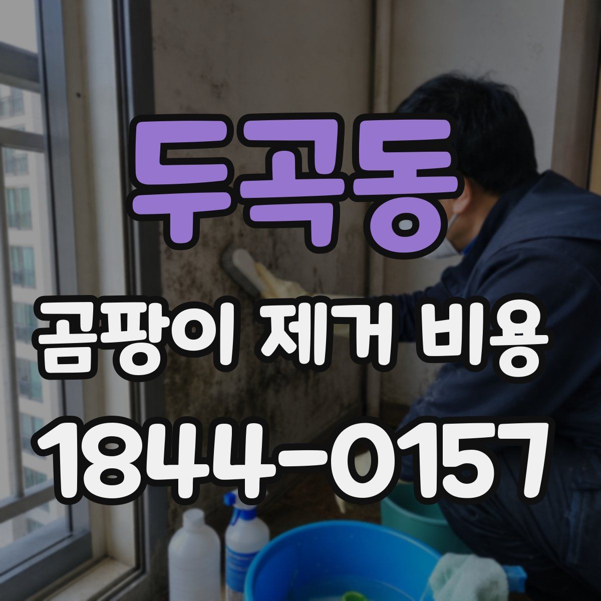 두곡동 곰팡이 제거 비용