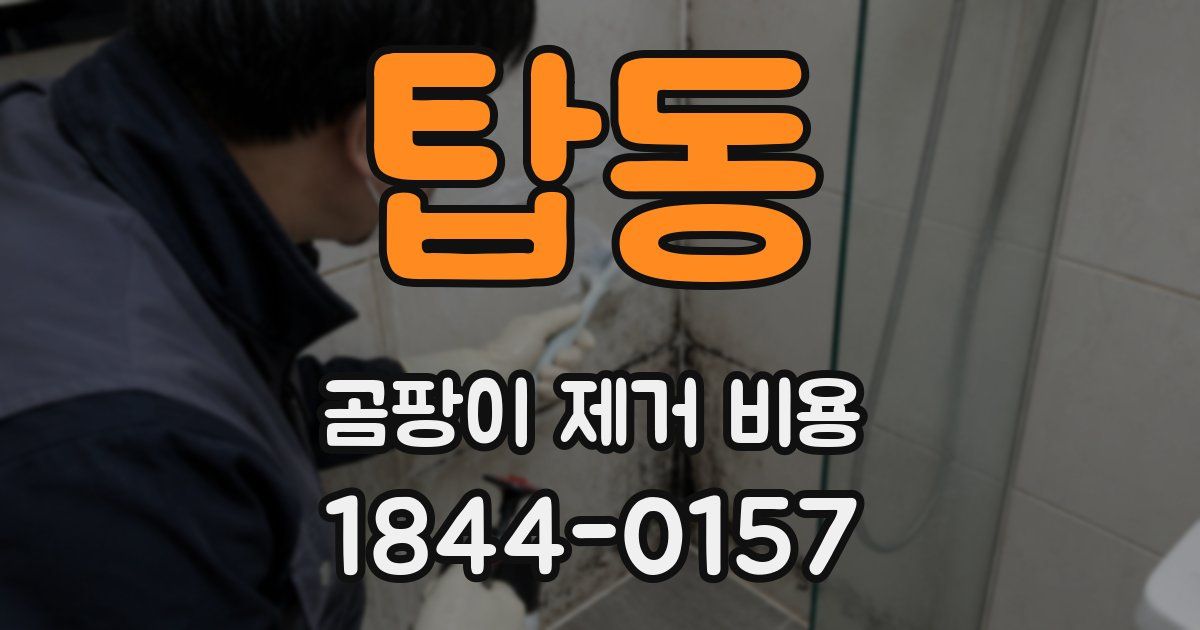 탑동 곰팡이 제거 비용