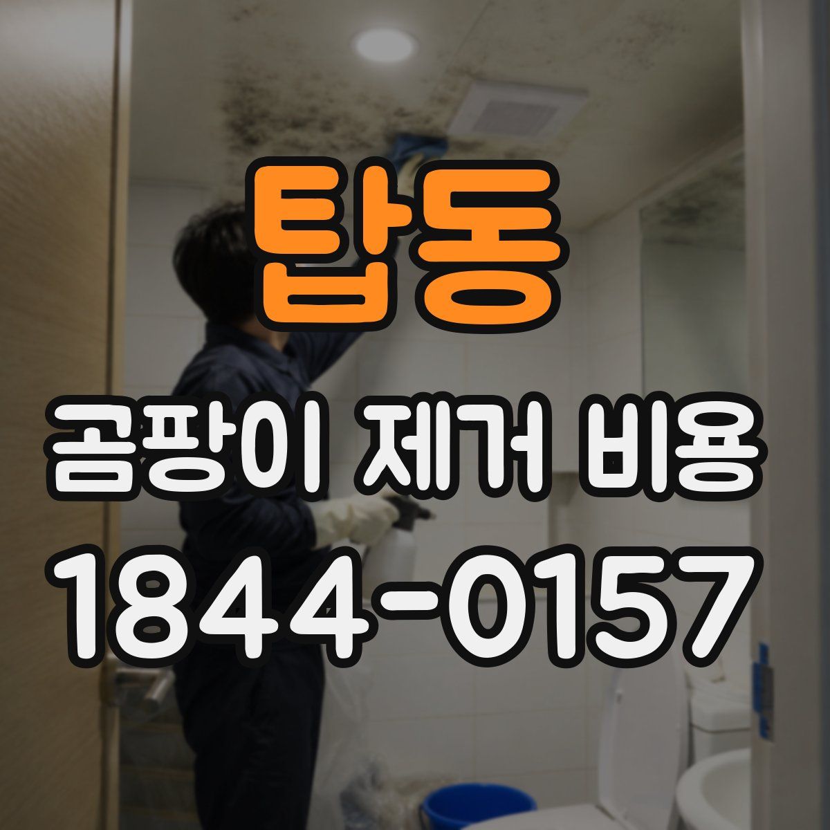 탑동 곰팡이 제거 비용
