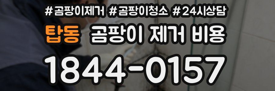 탑동 곰팡이 제거 비용