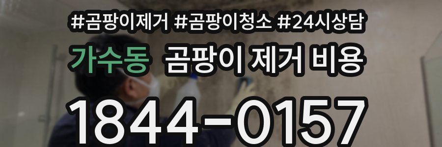 가수동 곰팡이 제거 비용