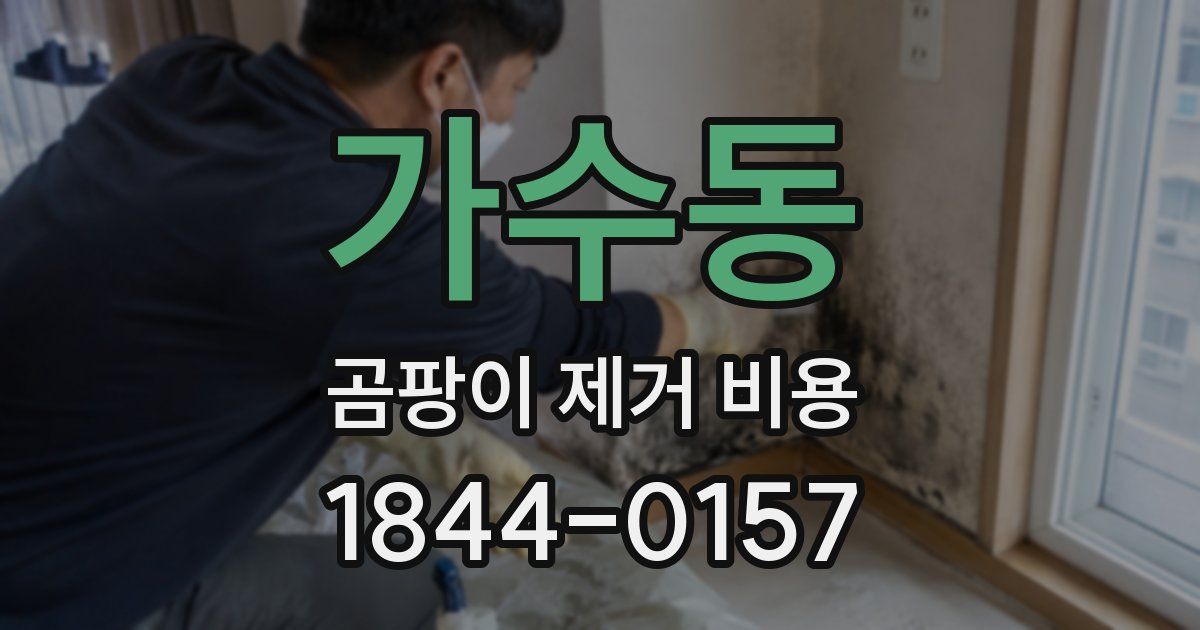 가수동 곰팡이 제거 비용