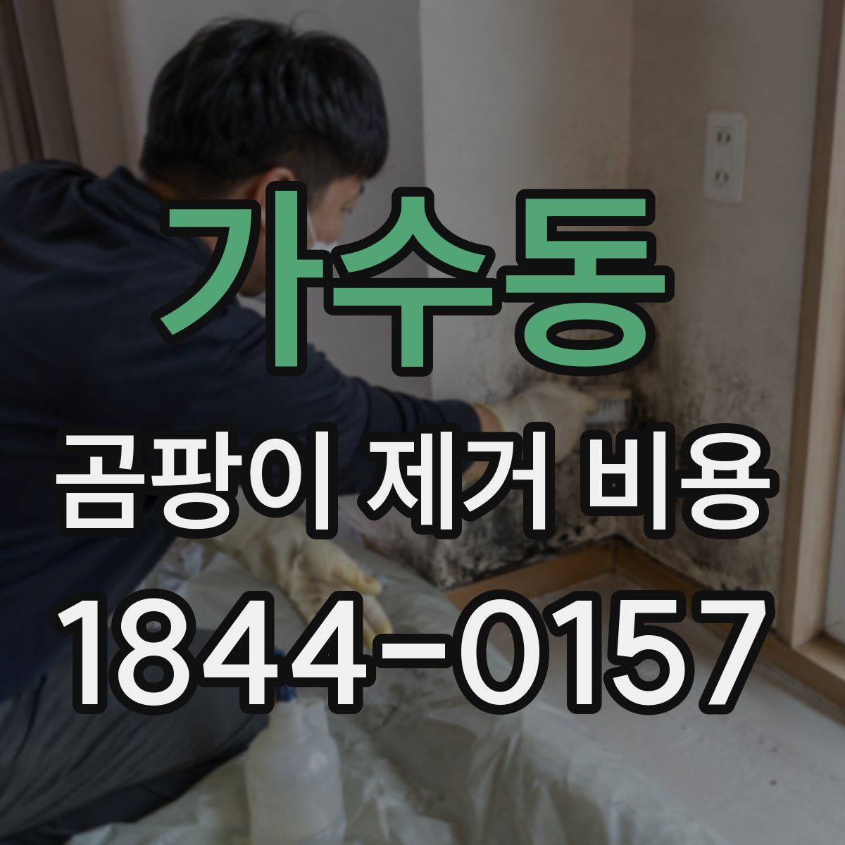 가수동 곰팡이 제거 비용