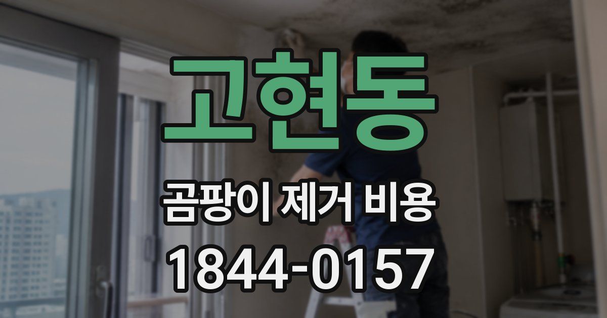 고현동 곰팡이 제거 비용