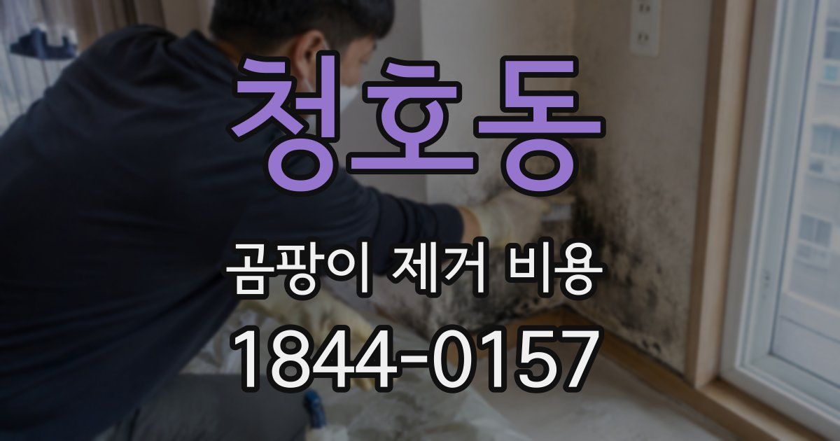 청호동 곰팡이 제거 비용