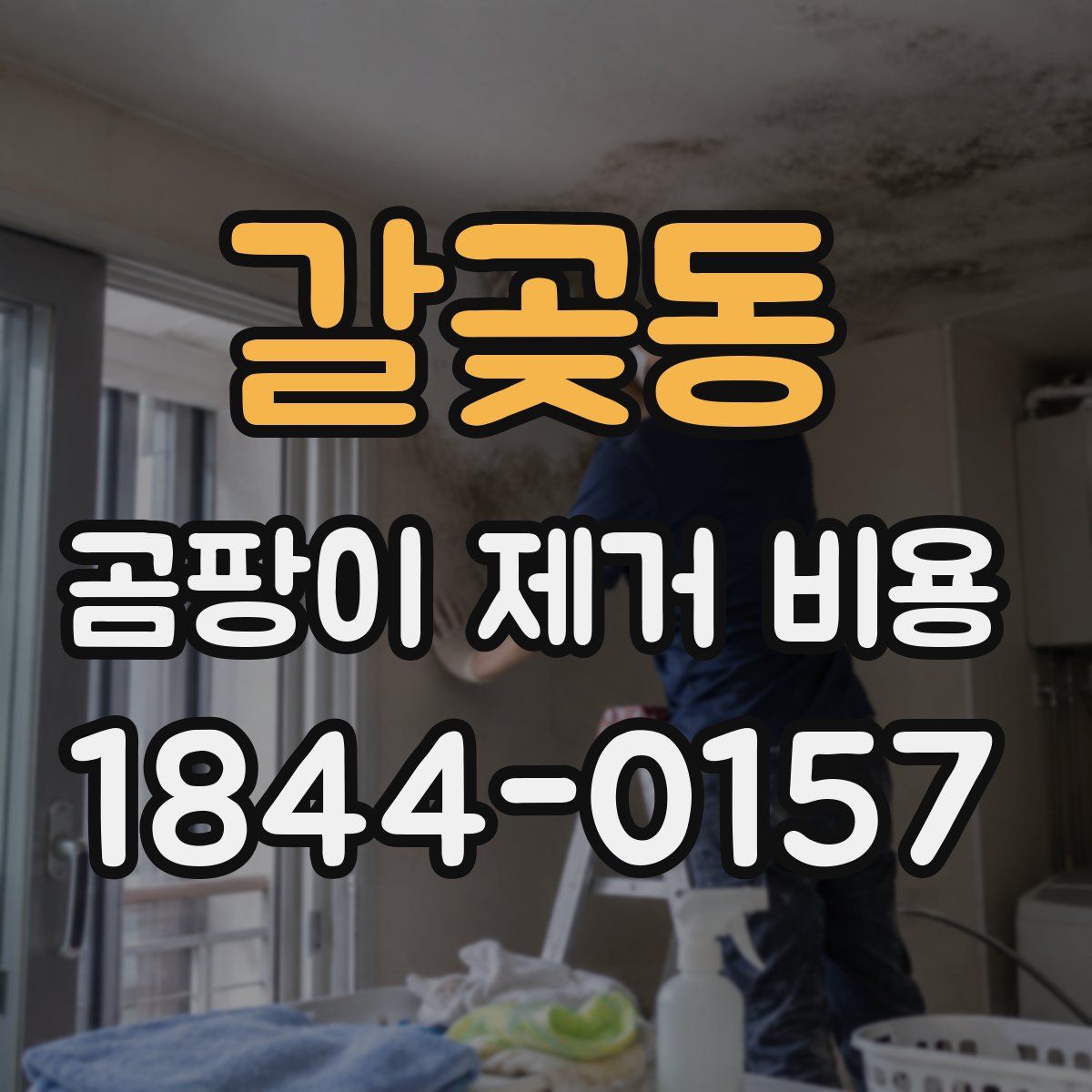 갈곶동 곰팡이 제거 비용