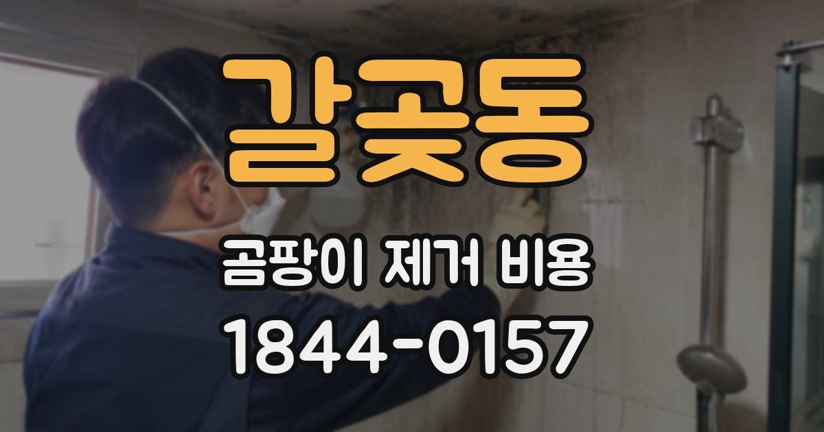 갈곶동 곰팡이 제거 비용