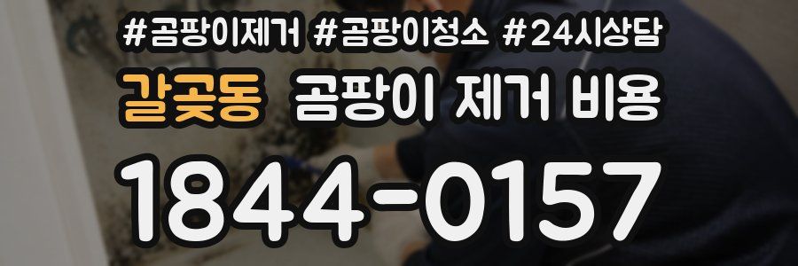 갈곶동 곰팡이 제거 비용