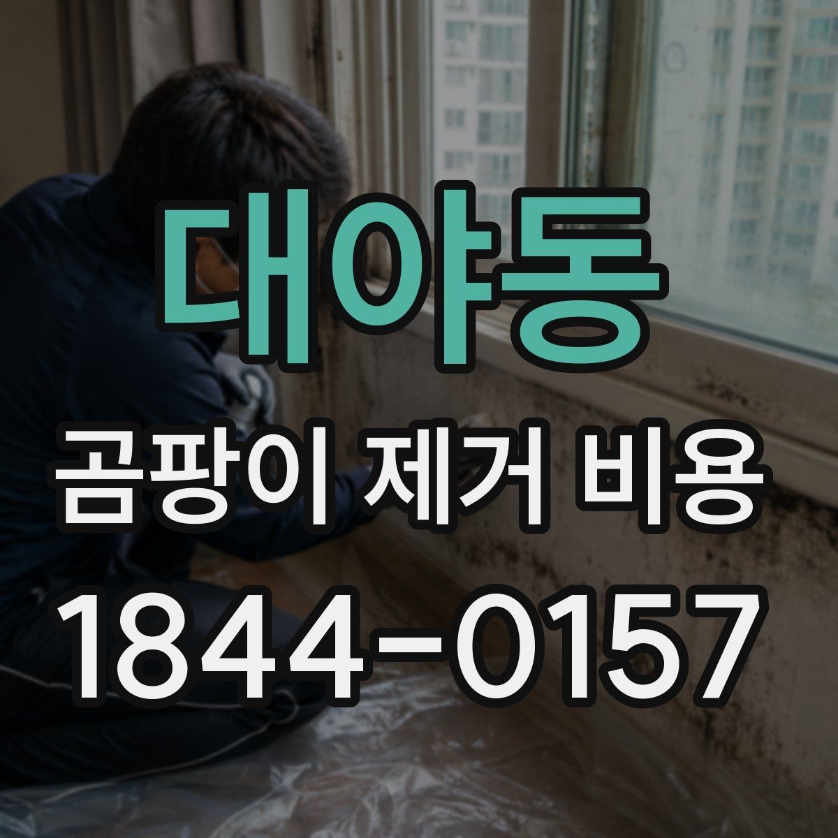 대야동 곰팡이 제거 비용 번짐 정도별 시공 방식 차이