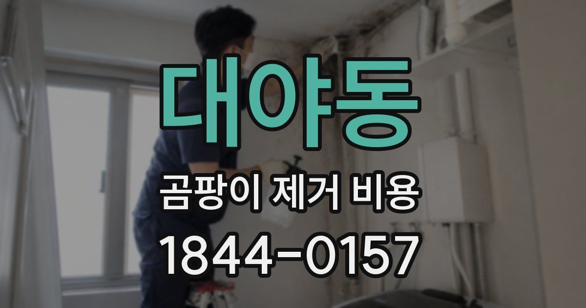 대야동 곰팡이 제거 비용
