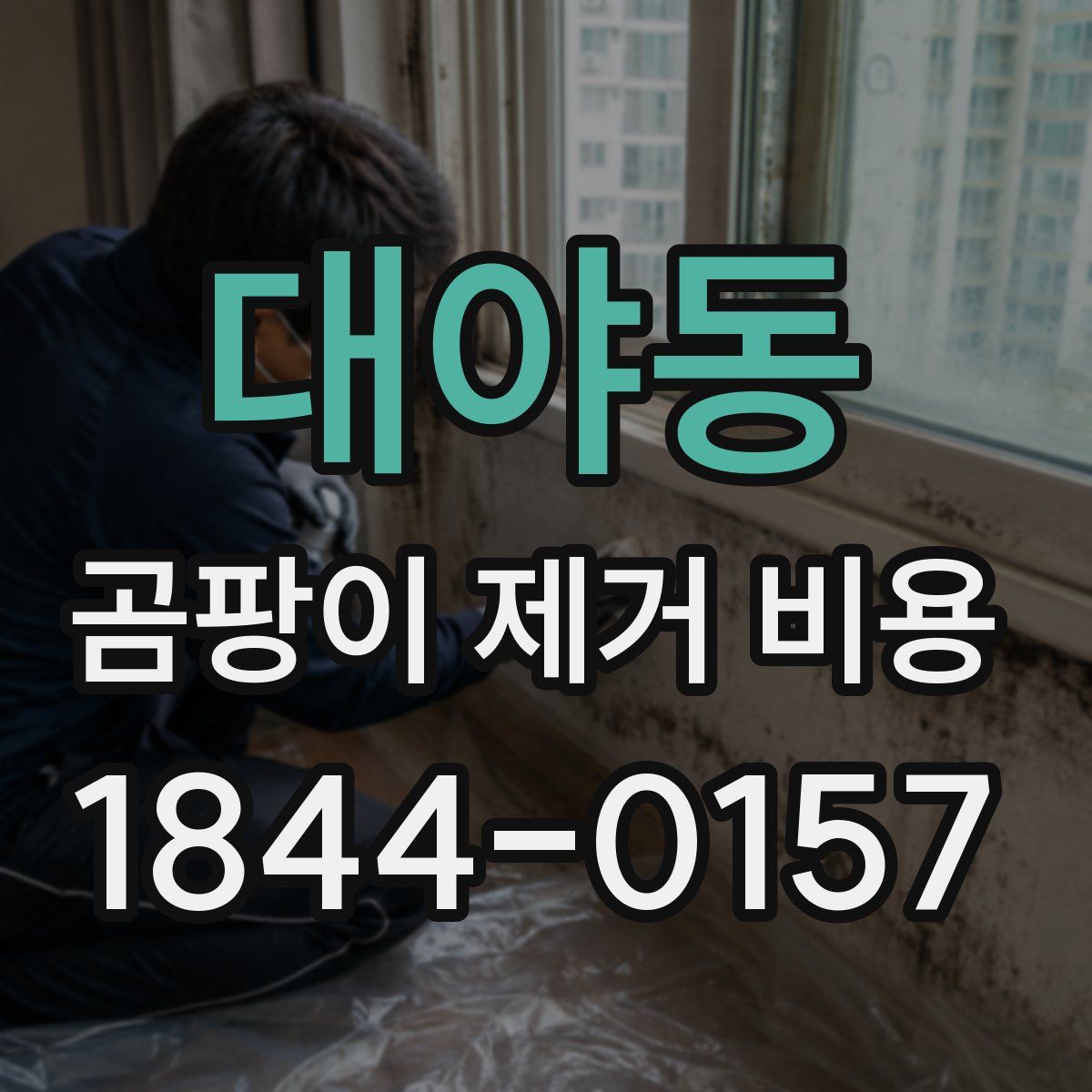 대야동 곰팡이 제거 비용