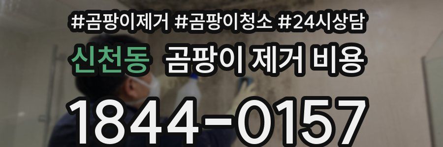 신천동 곰팡이 제거 비용