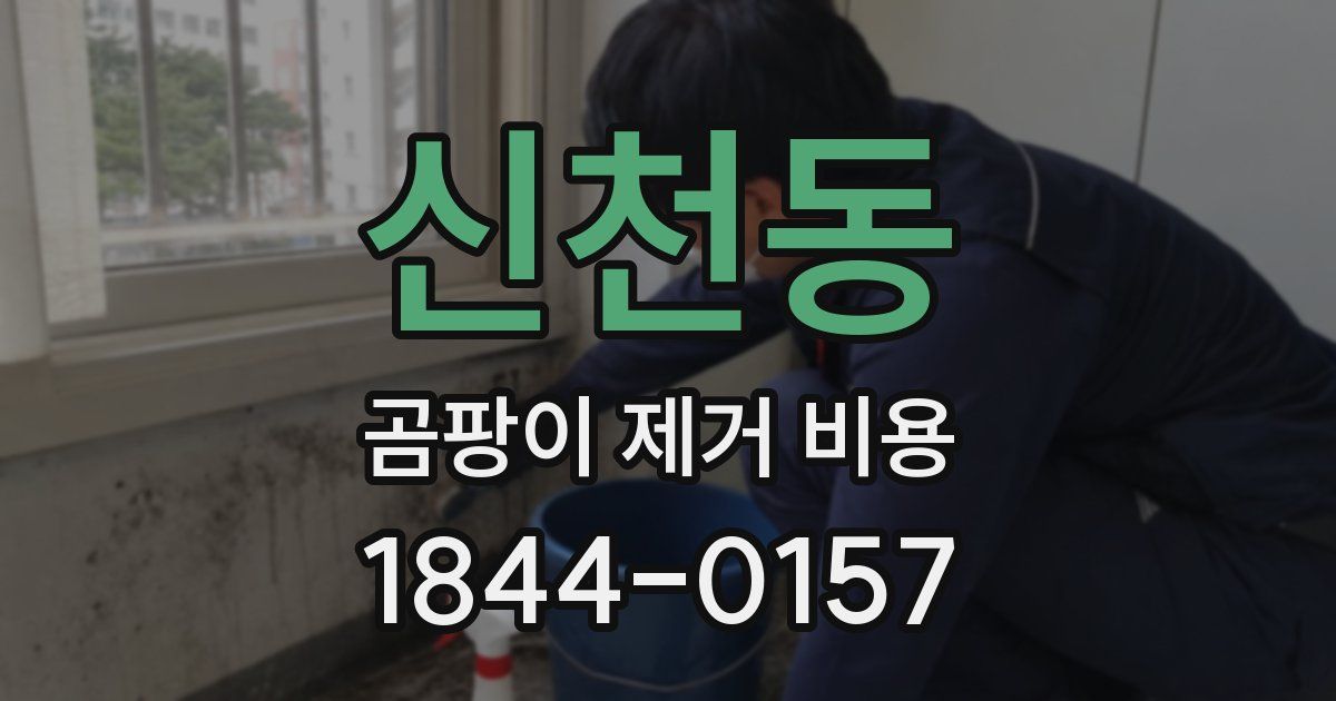 신천동 곰팡이 제거 비용