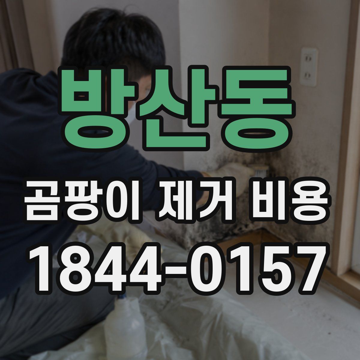 방산동 곰팡이 제거 비용