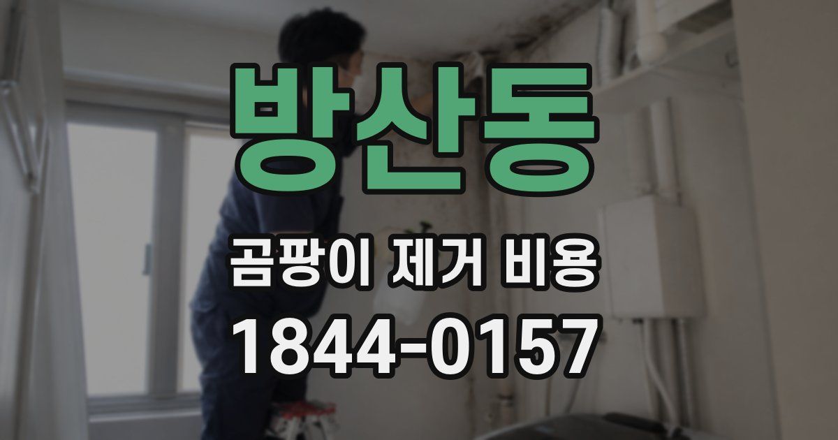 방산동 곰팡이 제거 비용
