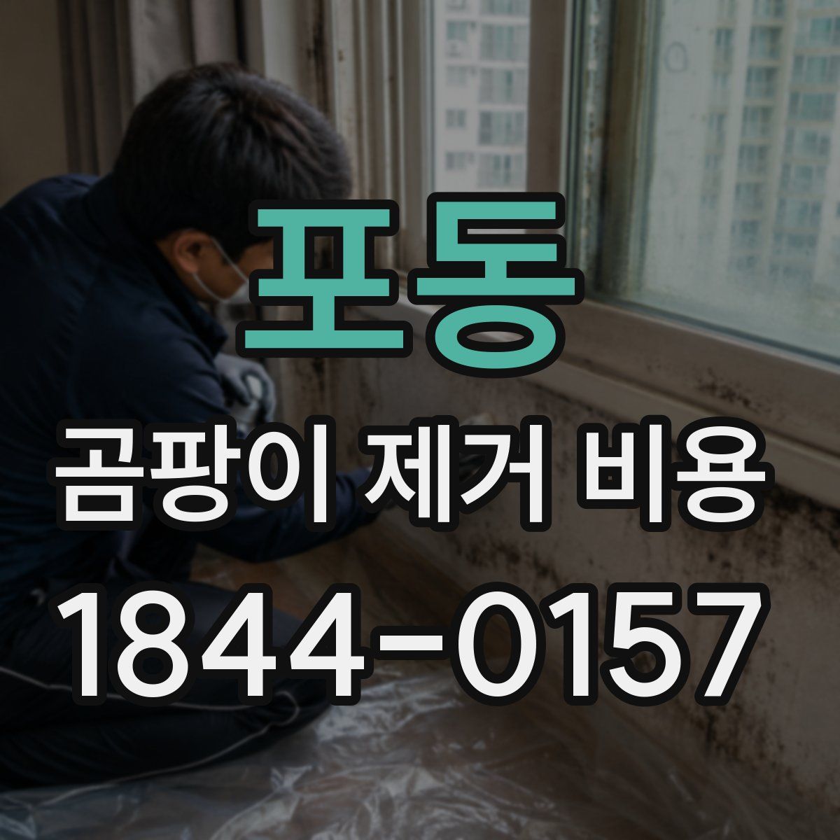 포동 곰팡이 제거 비용
