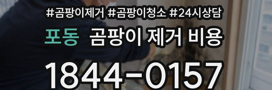 포동 곰팡이 제거 비용