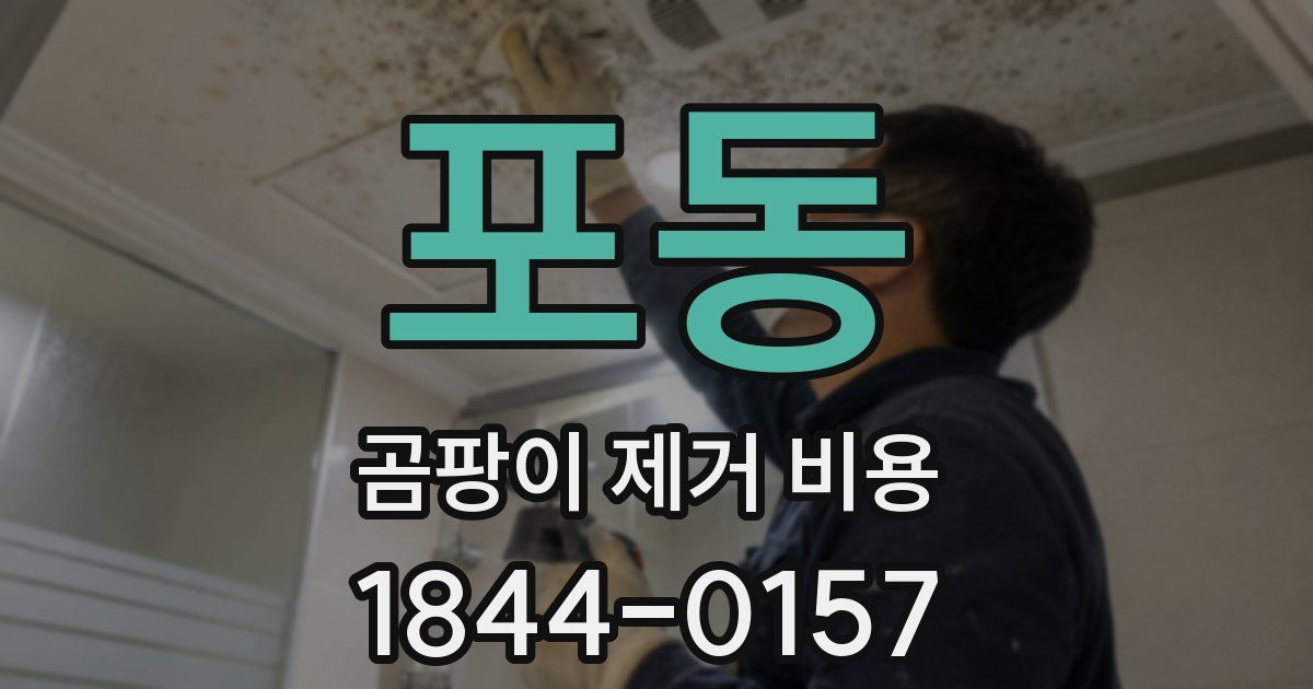포동 곰팡이 제거 비용