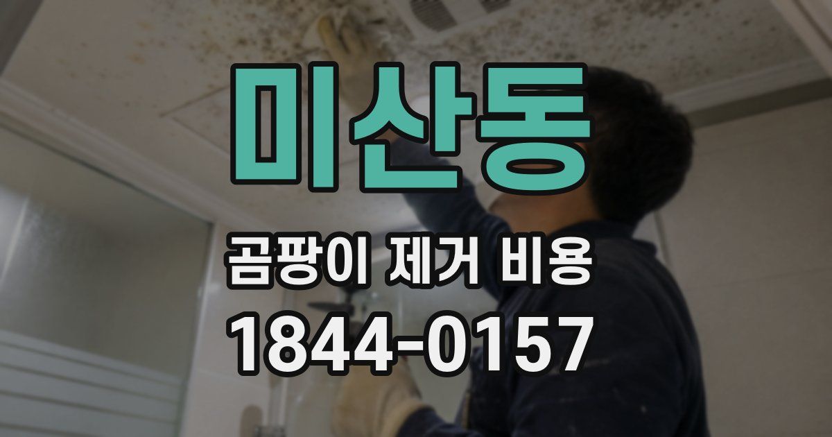 미산동 곰팡이 제거 비용