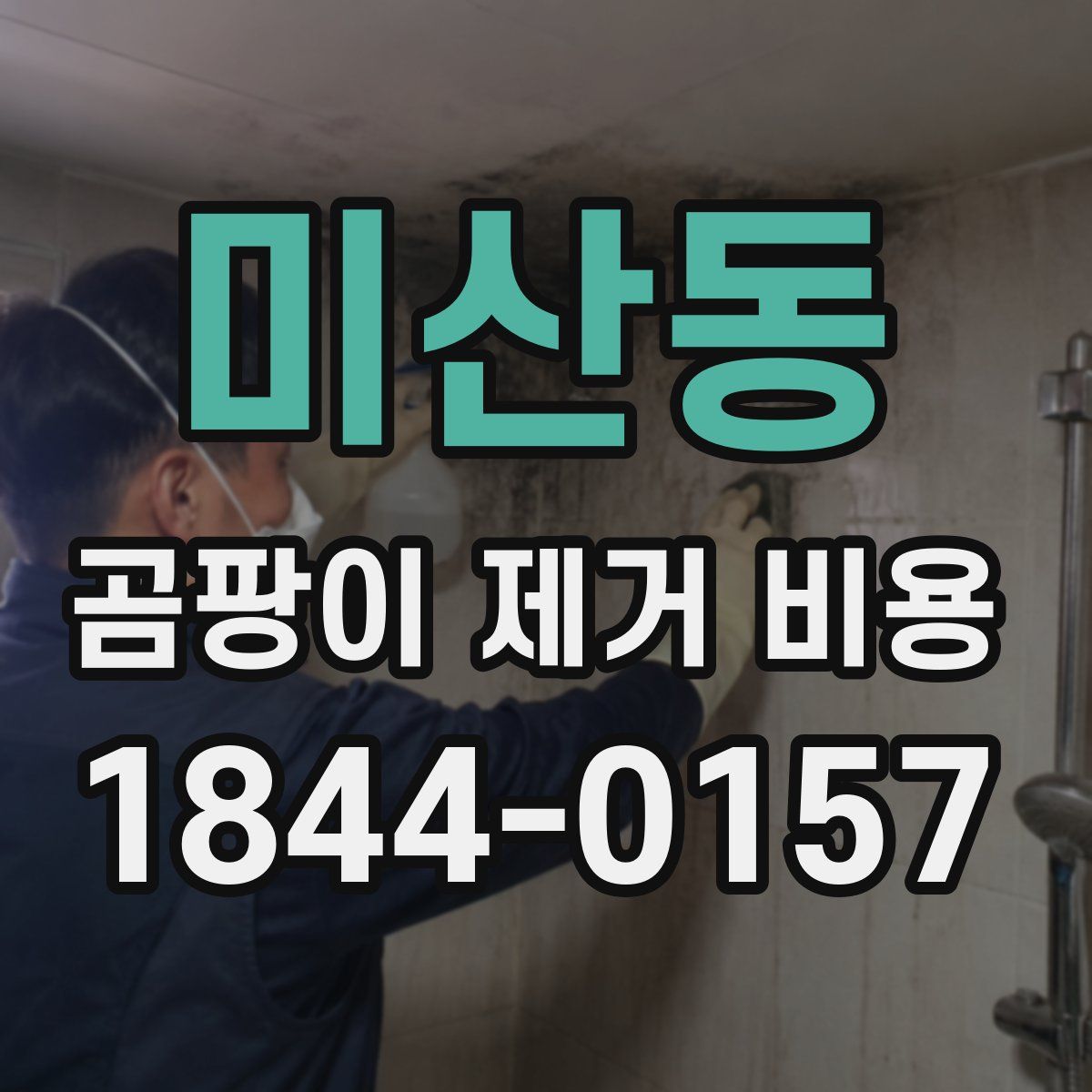 미산동 곰팡이 제거 비용
