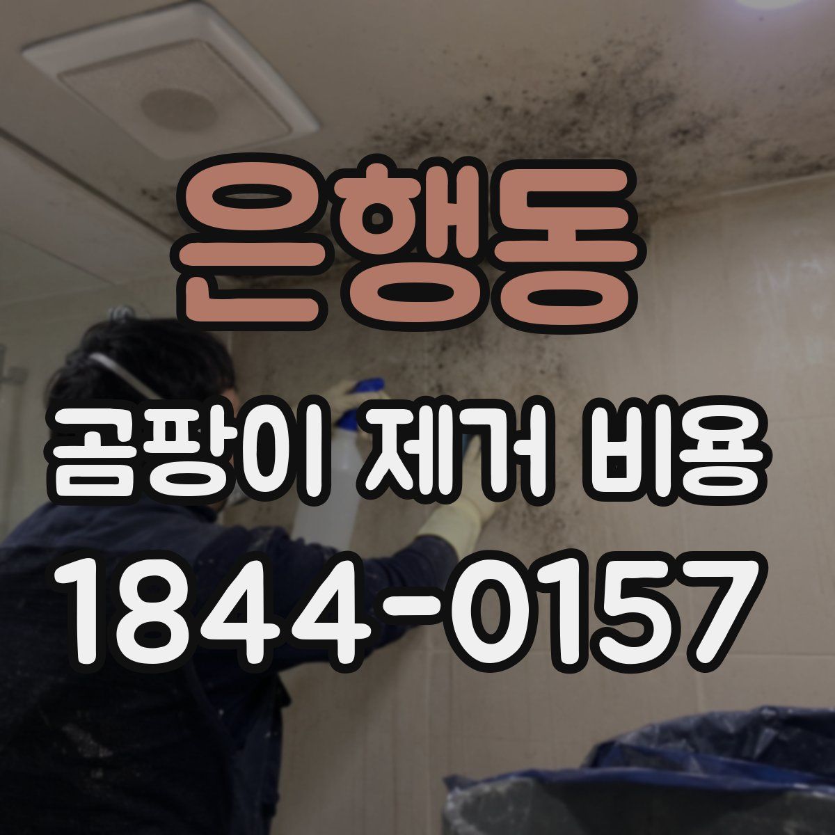 은행동 곰팡이 제거 비용