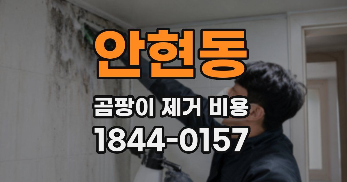 안현동 곰팡이 제거 비용