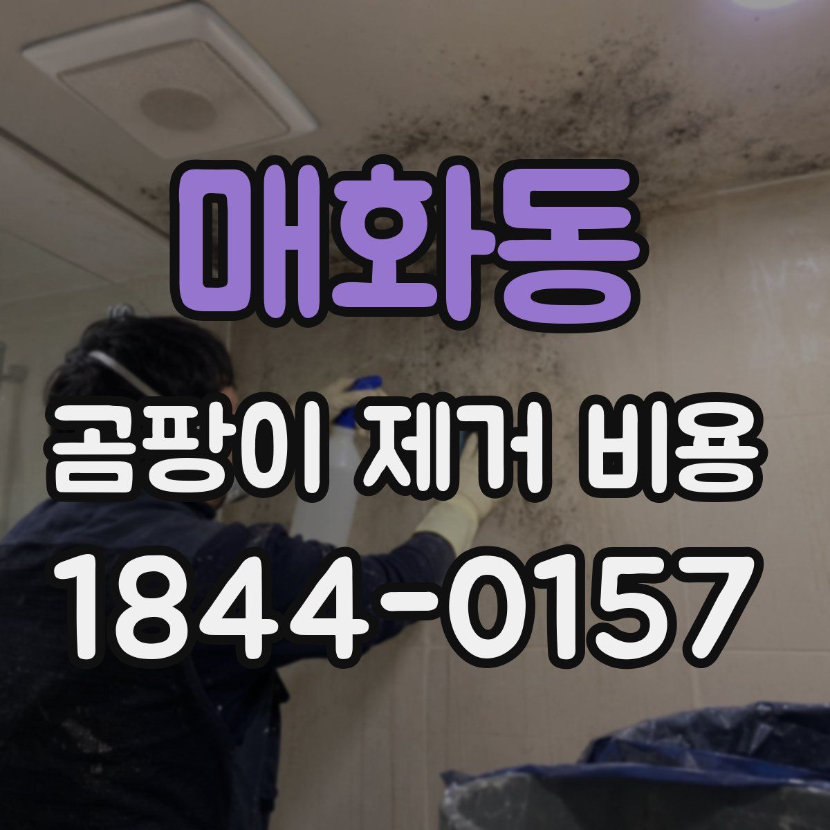 매화동 곰팡이 제거 비용