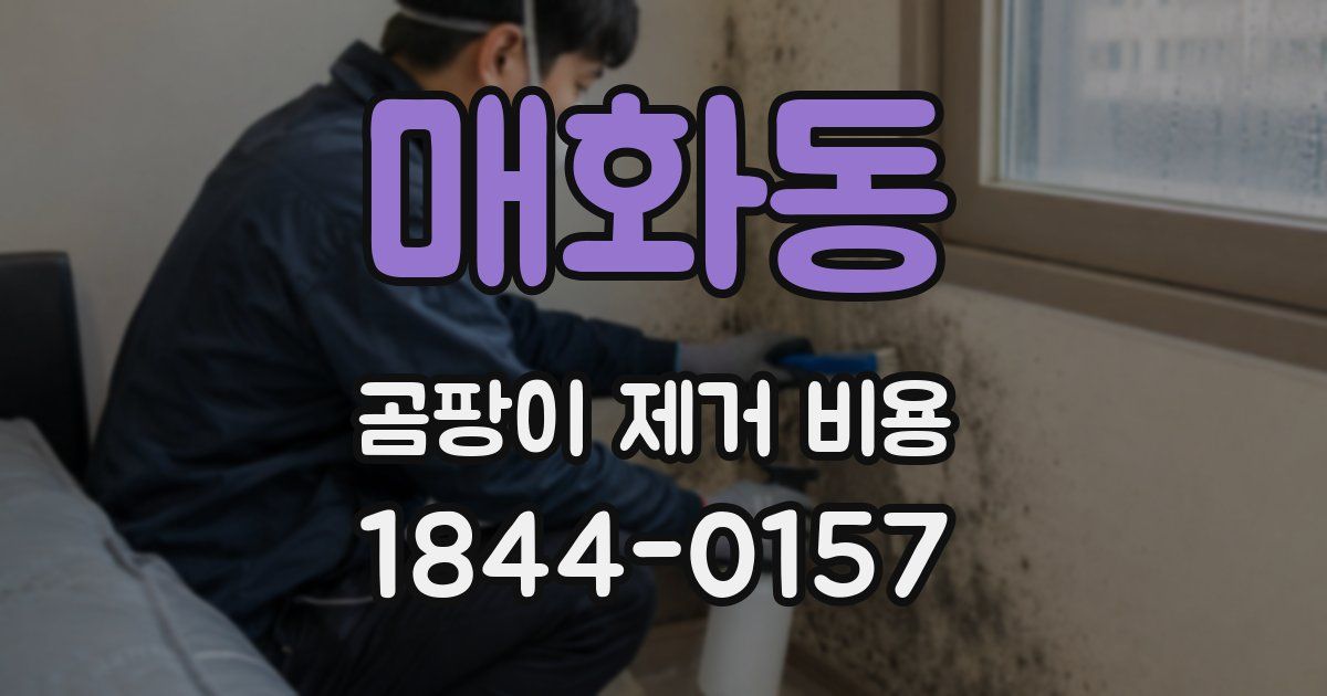 매화동 곰팡이 제거 비용