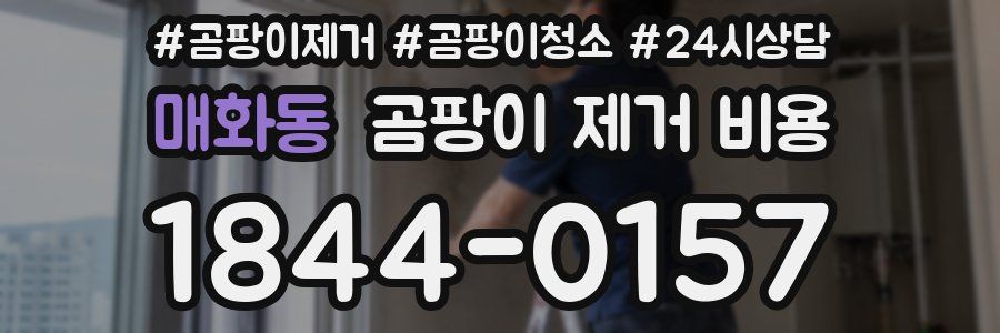 매화동 곰팡이 제거 비용