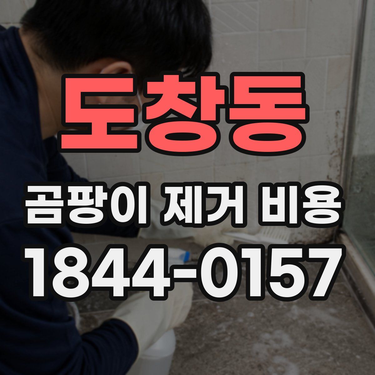 도창동 곰팡이 제거 비용