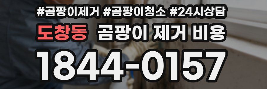 도창동 곰팡이 제거 비용