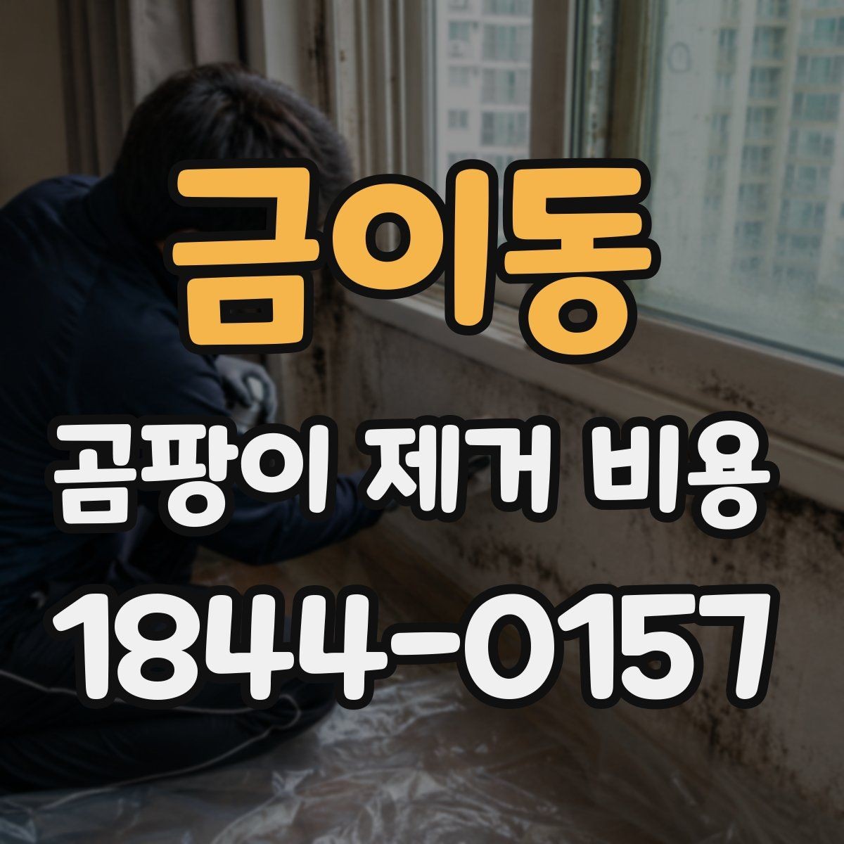 금이동 곰팡이 제거 비용 누수 수리와 함께 잡히는 계산법