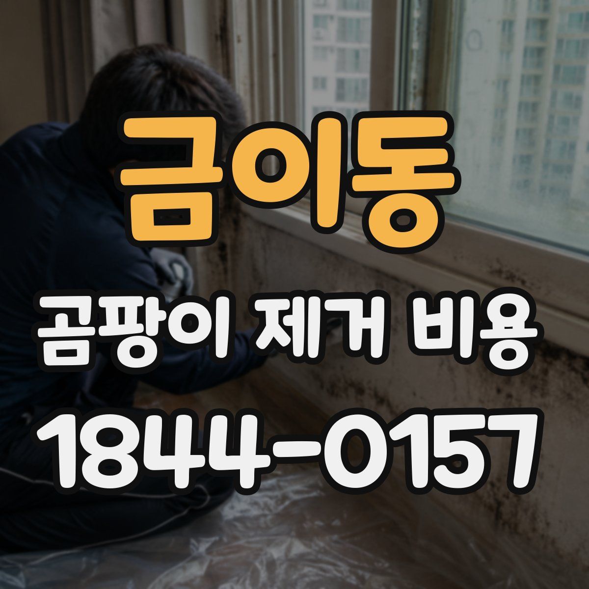 금이동 곰팡이 제거 비용