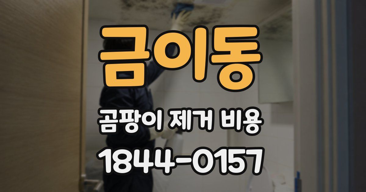 금이동 곰팡이 제거 비용