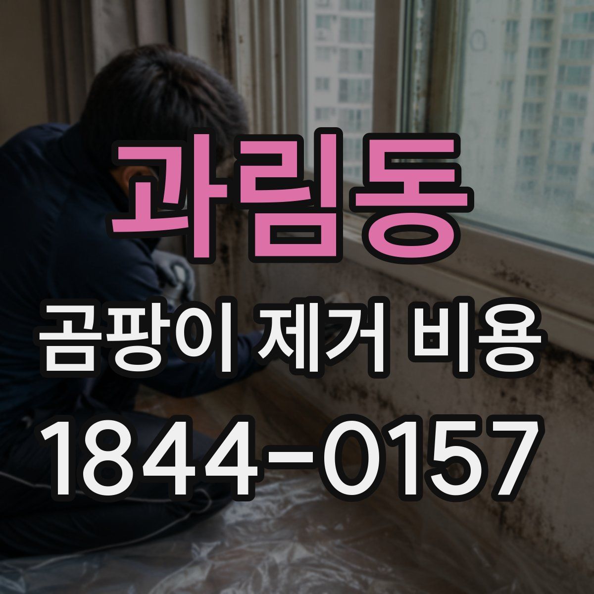 과림동 곰팡이 제거 비용